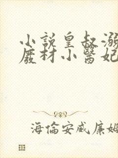 小说皇叔溺宠:废材小医妃免费