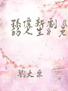 孙俪新剧《蛮好的人生》免费观看