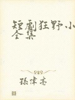 短剧狂野小神医全集