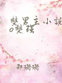 双男主小说abo双强