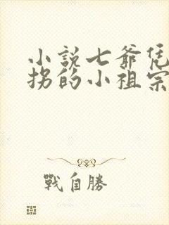 小说七爷凭本事拐的小祖宗阅读