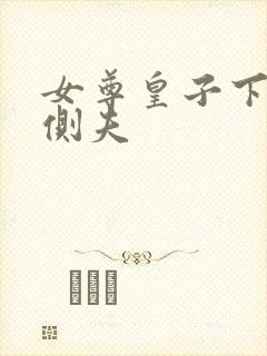 女尊皇子下嫁为侧夫