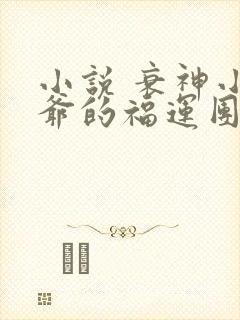 小说 衰神小王爷的福运团宠妻