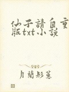 仙子请自重精校版txt小说