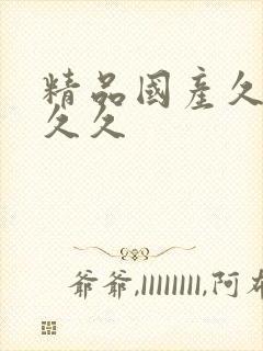 精品国产久久久久久