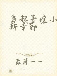 枭起青壤小说最新章节