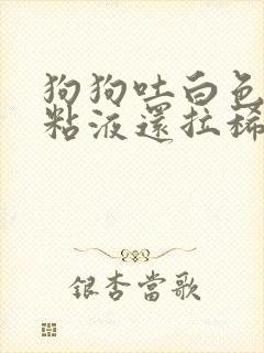 狗狗吐白色泡沫粘液还拉稀怎么回事