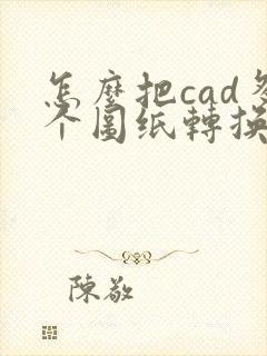 怎么把cad多个图纸转换成pdf