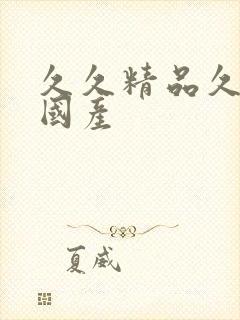 久久精品久久久国产