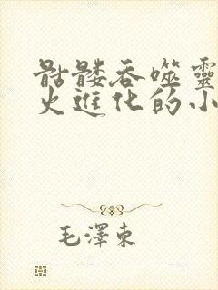 骷髅吞噬灵魂之火进化的小说