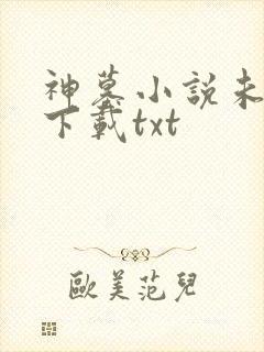 神墓小说未删版下载txt