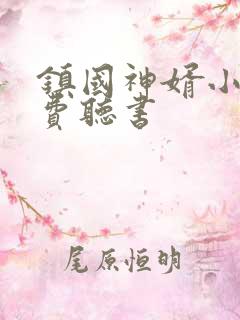 镇国神婿小说免费听书