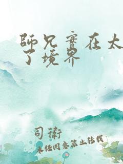 师兄实在太稳健了境界