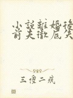 小说离婚后豪门前夫彻底失了控手机版