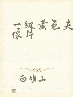 一级黄色夫妻录像片