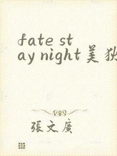 fate stay night美狄亚