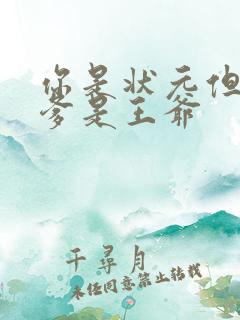 你是状元但是你爹是王爷