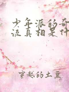 少年派的奇幻漂流真相是什么