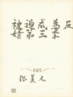 被迫成为反派赘婿第三季