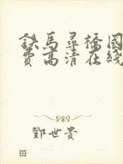 铁马寻桥国语免费高清在线