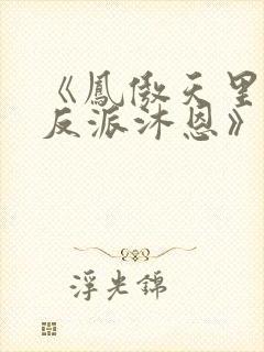 《凤傲天里黄毛反派沐恩》