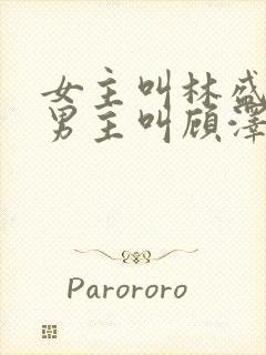 女主叫林盛夏,男主叫顾泽凯的小说