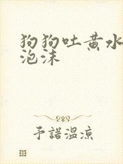 狗狗吐黄水是带泡沫