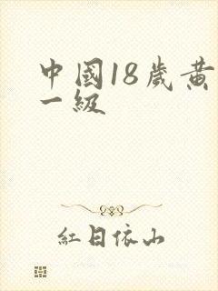 中国18岁黄色一级
