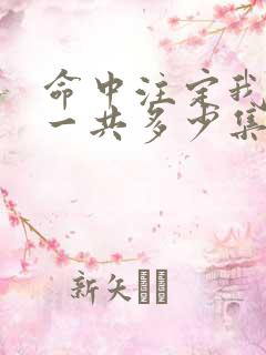 命中注定我爱你一共多少集