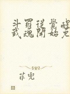 斗罗从觉醒朱雀武魂开始免费阅读