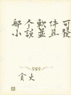 哪个软件可以写小说并且发布赚钱