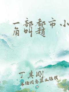 一部都市小说主角叫赵