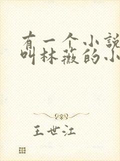 有一个小说女主叫林薇的小说