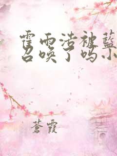 霍雨浩被蓝轩宇召唤了吗小说