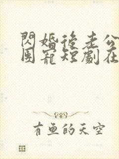 闪婚后老公全家团宠短剧在线观看