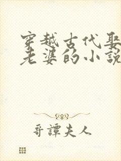 穿越古代娶三个老婆的小说