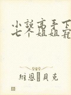 小说高手下山被七个姐姐宠上天最新章节