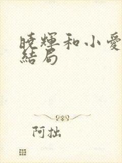 晓辉和小爱最后结局