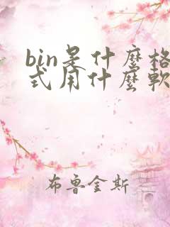 bin是什么格式用什么软件打开