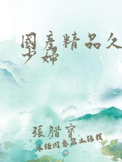 国产精品久久久少妇