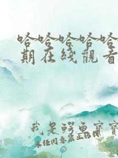 哈哈哈哈哈第3期在线观看