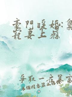 豪门暖婚:枭爷宠妻上瘾