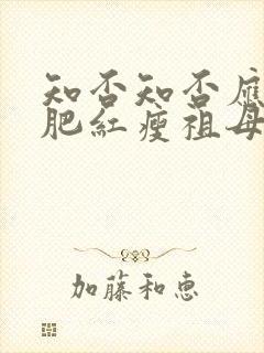 知否知否应是绿肥红瘦祖母中毒是哪集