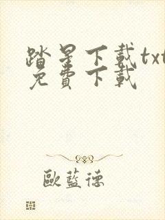 踏星下载txt免费下载