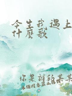 今生我遇上你是什么歌
