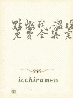 点燃我,温暖你免费全集完整版