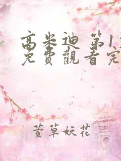 高米迪 第1季免费观看完整版高清