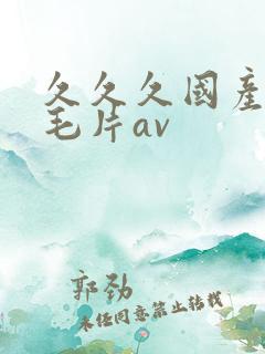 久久久国产精品毛片av