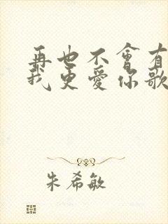 再也不会有人比我更爱你歌词