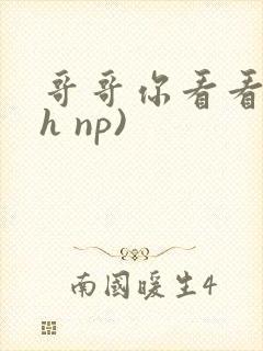 哥哥你看看我(h np)